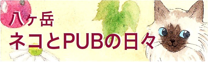 2logo.jpg