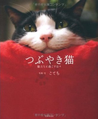 41aoWA07HnL__SS400_.jpg
