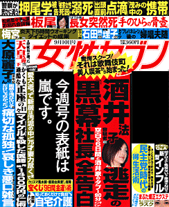 cover09-32.gif