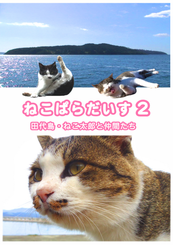 nekopara2.jpg