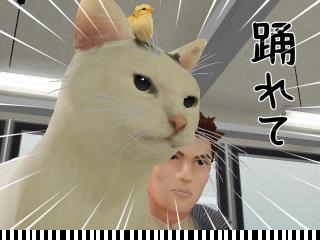 screenshot_006.jpg