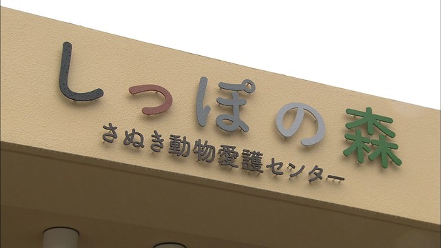 https___news_jp_i_1459053916826943936_b1394097.jpg