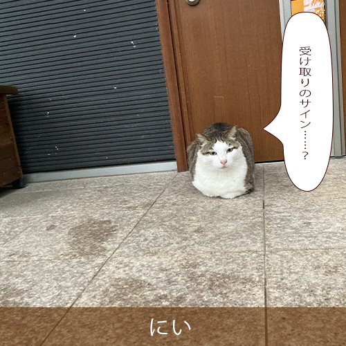 20260805.jpg
