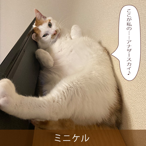 20260807.jpg
