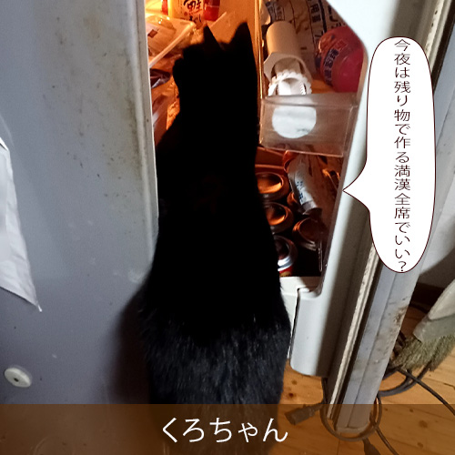 20260819.jpg