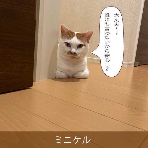 20260908.jpg